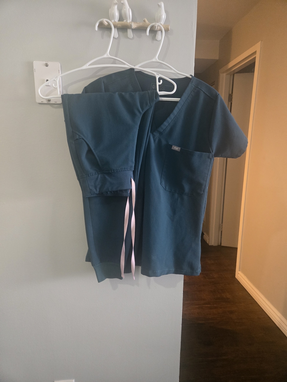 Figs Caribbean Blue Scrub Pants and Free Top